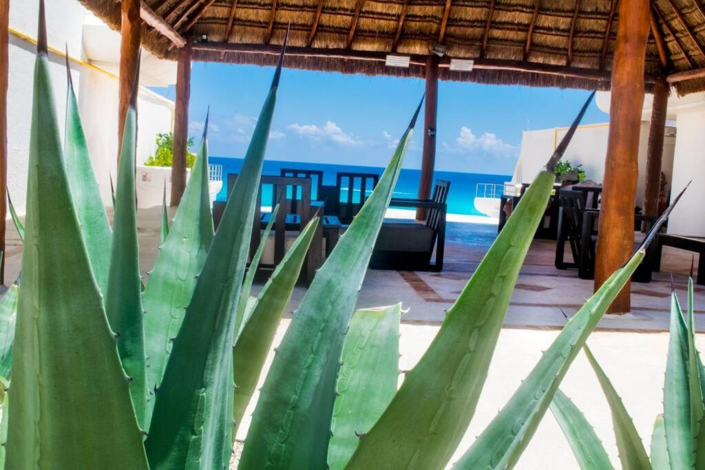 Ocean Front Villa Marlin, Best Location In Hotel Zone #109 Cancun Exterior photo