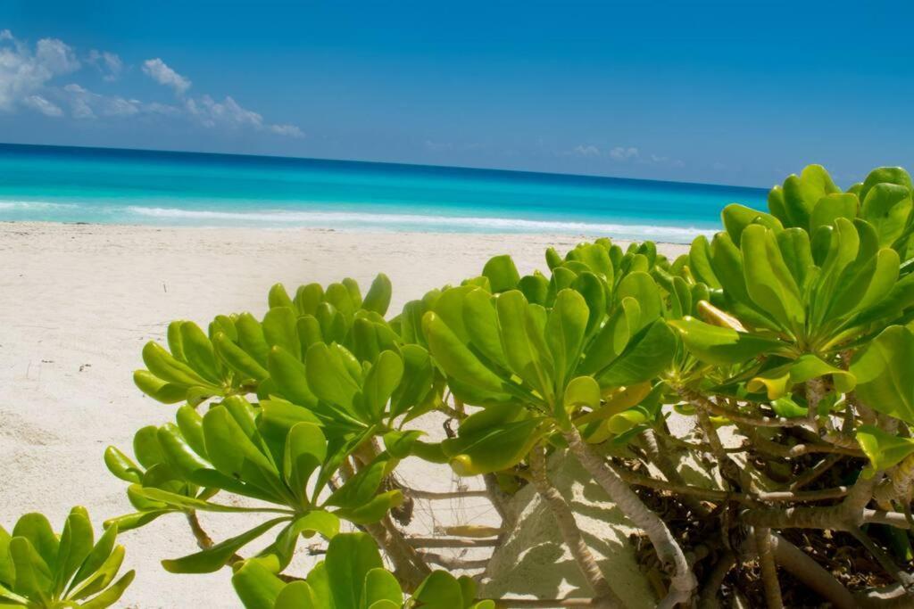 Ocean Front Villa Marlin, Best Location In Hotel Zone #109 Cancun Exterior photo